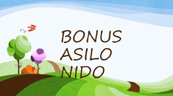 Bonus Asili Nido 2024