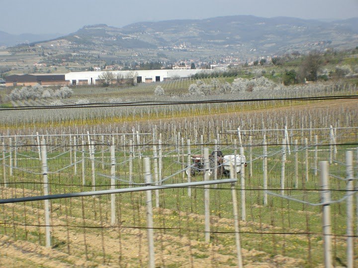 Varianti verdi per la riclassificazione delle aree edificabili in aree inedificabili