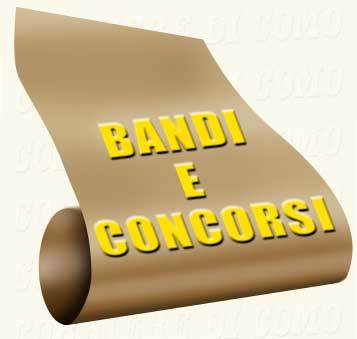 Nomina Commissione Concorso pubblico per titoli ed esami per l'assunzione, presso il Comune di S. Bellino (RO), di n. 1 posto appartenente alla categoria D, profilo professionale Istruttore Direttivo