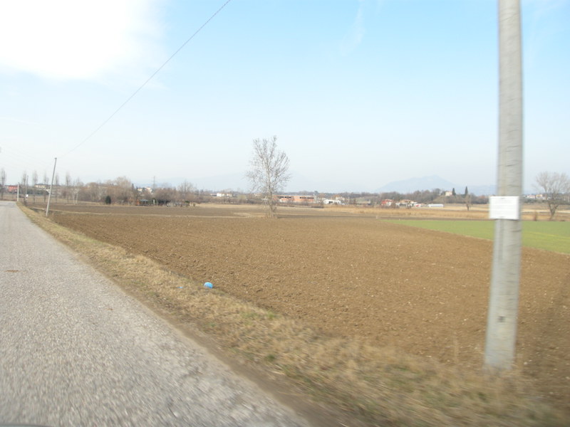 Campagna  informativa  2019  riguardante  la commercializzazione dei funghi freschi spontanei è dei porcini secchi sfusi. (Legge regionale 11.  23/1996)